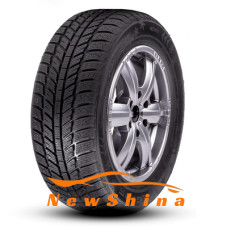 Roadx RXFrost WH01 205/60 R15 91H