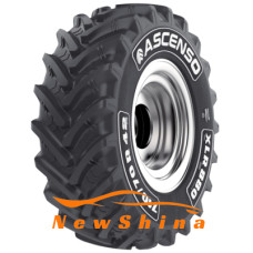 Ascenso XLR 880 (с/г) 600/70 R34 160D