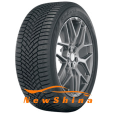 Yokohama BluEarth*Winter V906 SUV 225/65 R17 102H