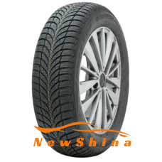 Roadstone Eurovis Alpine 2 175/65 R14 86T XL