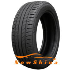 Double Coin Abysilency 225/55 R17 101W XL