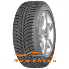 Sava Eskimo Ice 175/70 R14 88T XL