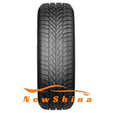 Paxaro INVERNO 225/45 R18 95V XL